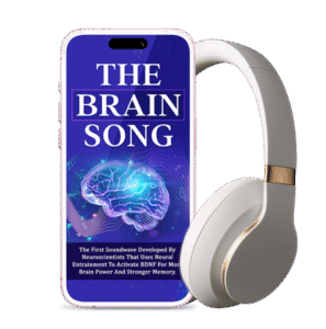 Brain Function The Brain Song