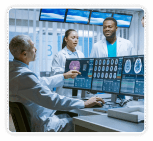 Brain Function The Brain Song